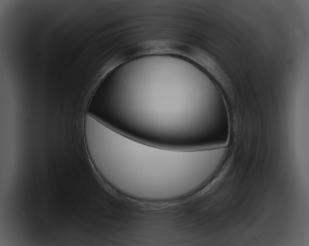 X0000098091289200804040719