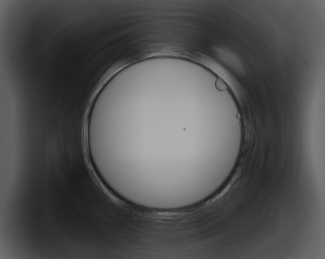 X0000098091290200804040719