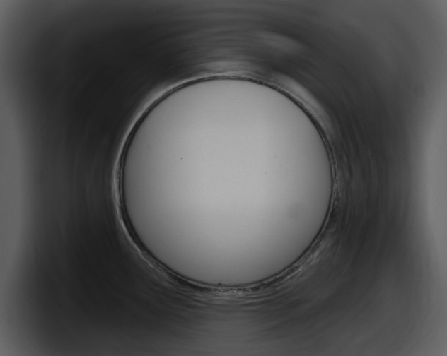 X0000098091291200804040719