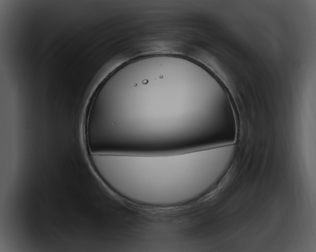 X0000098091293200804040719