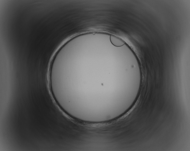 X0000098091294200804040719