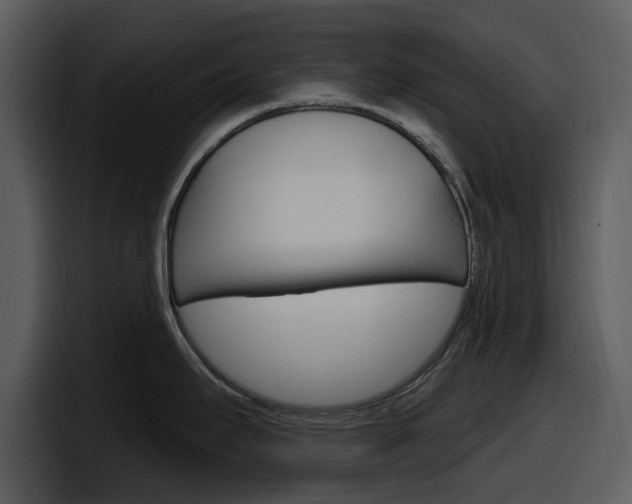 X0000098091295200804040719