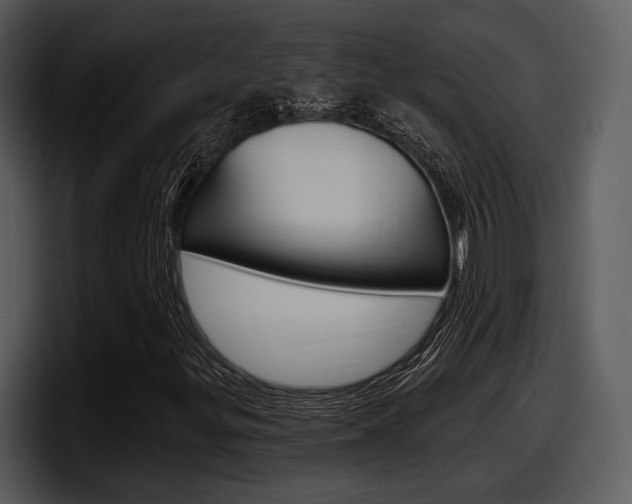 X0000098091299200804040718