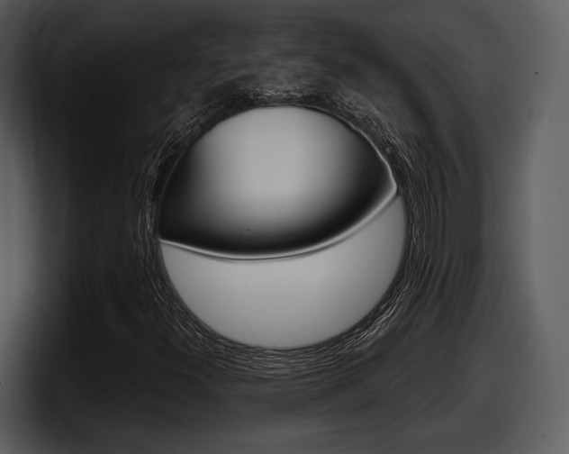 X0000098091300200804040718