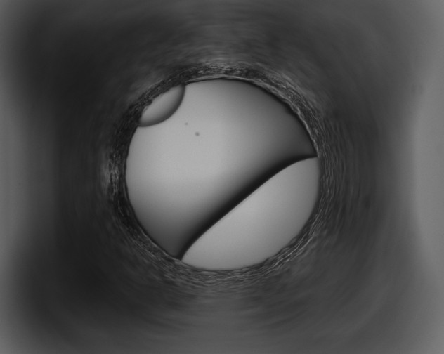 X0000098091302200804040718
