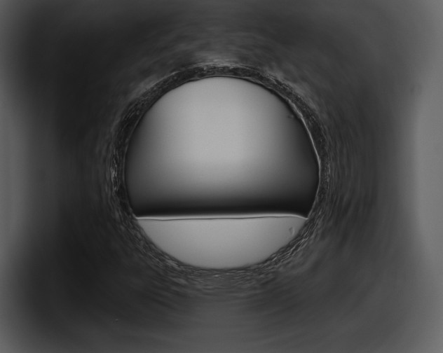X0000098091303200804040718