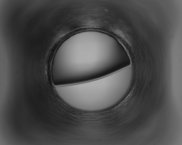 X0000098091307200804040718