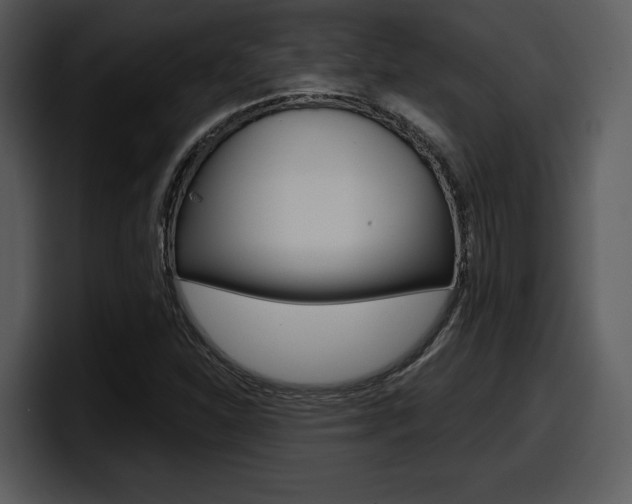 X0000098091310200804040718