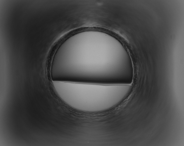 X0000098091311200804040718