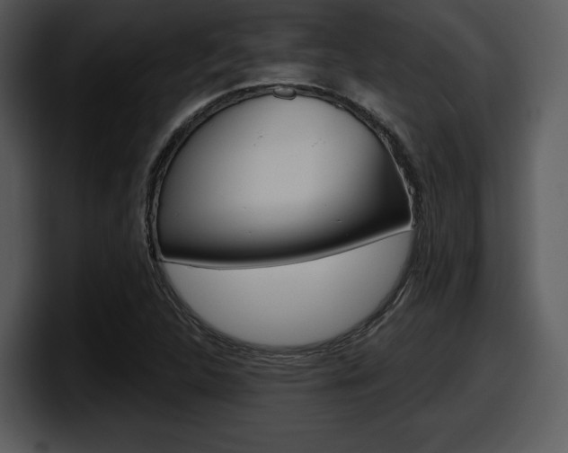 X0000098091312200804040718