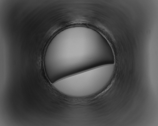 X0000098091313200804040718