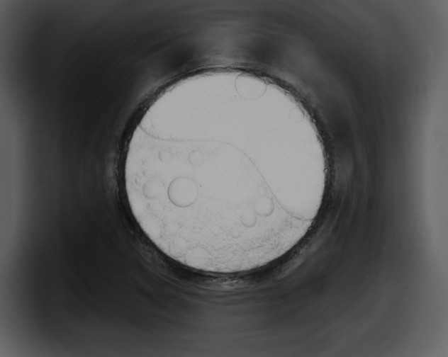 X0000098091314200804040718