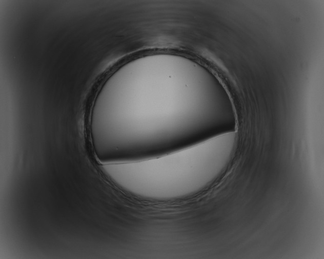 X0000098091315200804040718