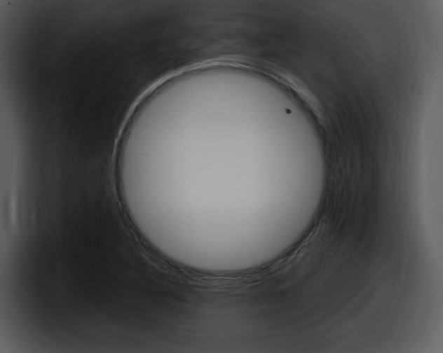 X0000098091316200804040718