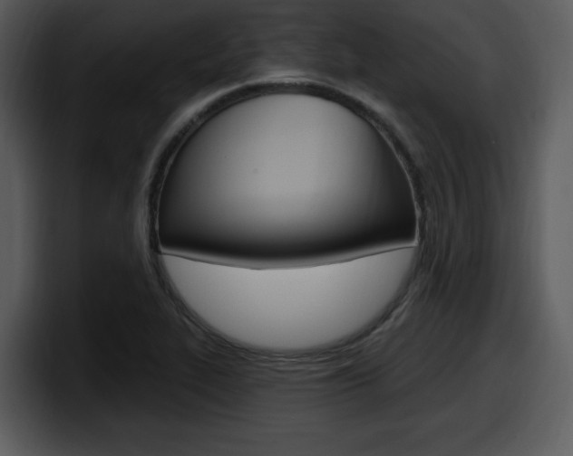 X0000098091319200804040718
