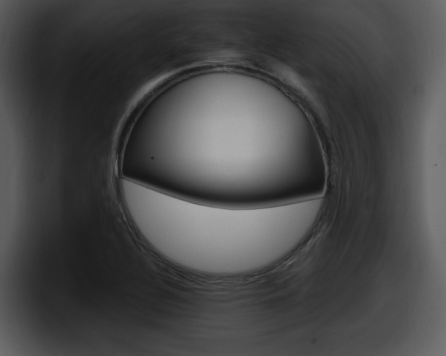 X0000098091320200804040718