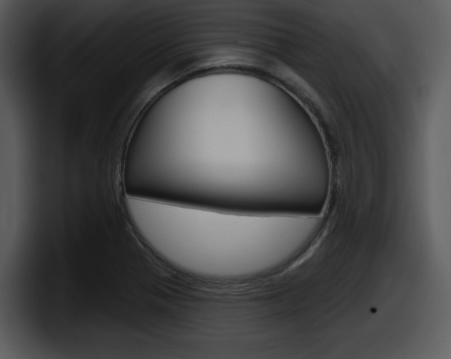 X0000098091321200804040718