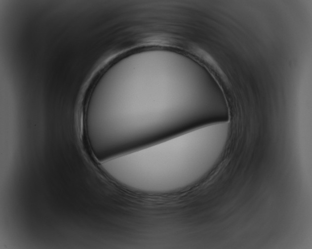 X0000098091323200804040718