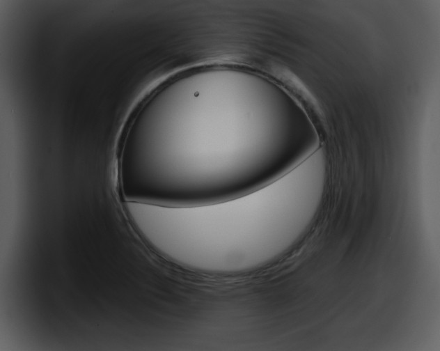 X0000098091324200804040719