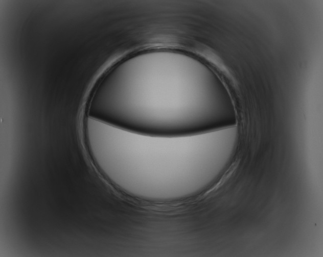 X0000098091325200804040719
