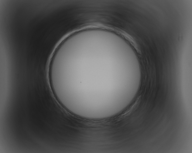 X0000098091326200804040719