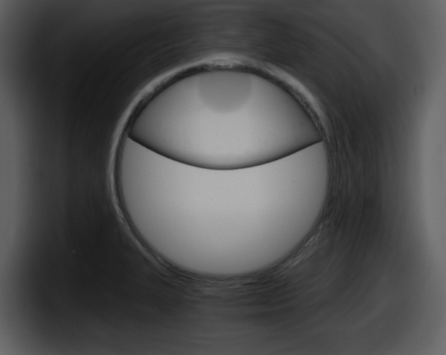 X0000098091327200804040719