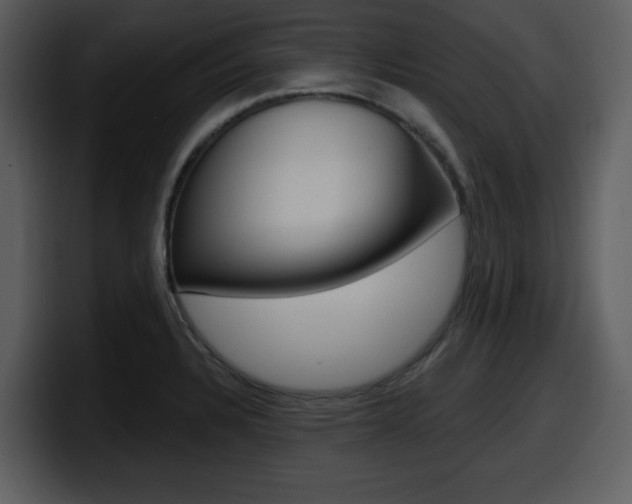 X0000098091328200804040719