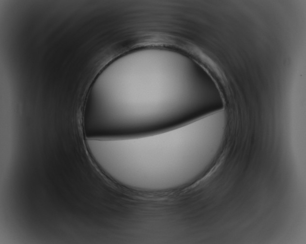 X0000098091329200804040719