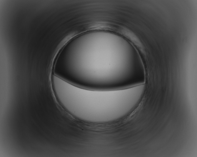 X0000098091330200804040719