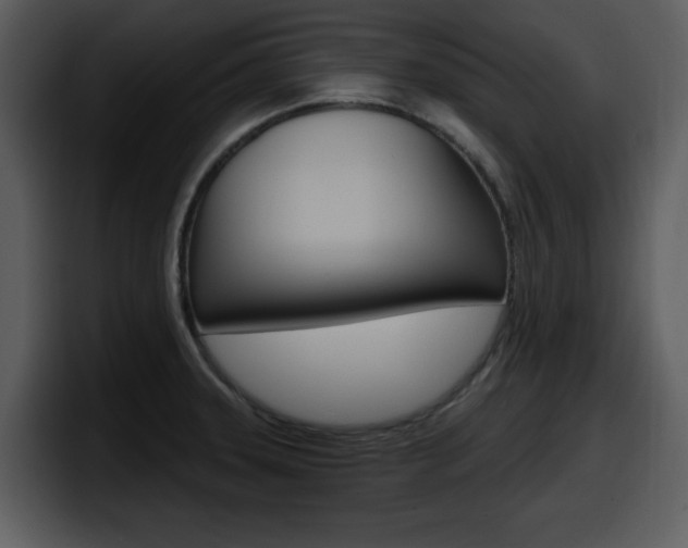 X0000098091331200804040719