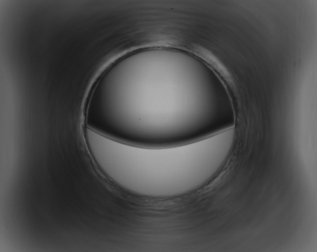 X0000098091332200804040719