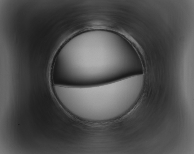 X0000098091333200804040719