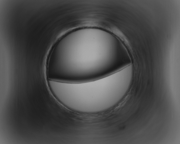 X0000098091334200804040719