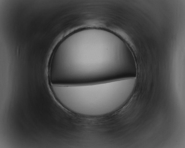 X0000098091335200804040719