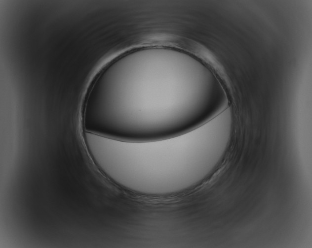 X0000098091336200804040719