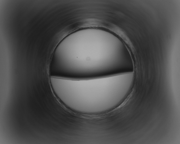 X0000098091337200804040719