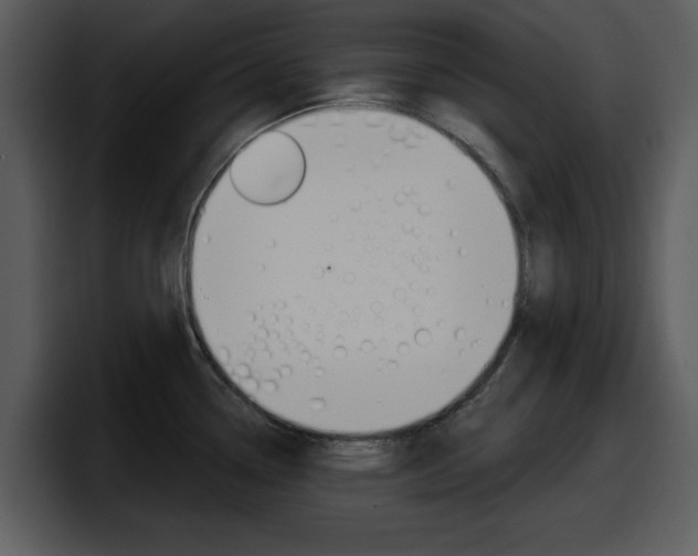 X0000098091338200804040719