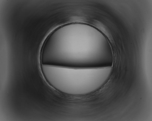 X0000098091339200804040719