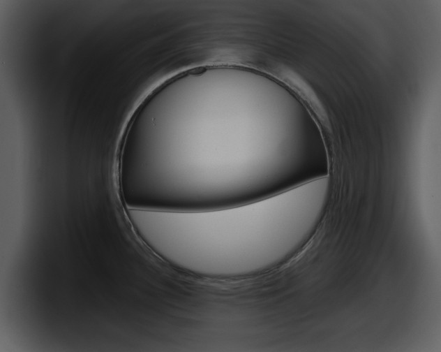 X0000098091340200804040719