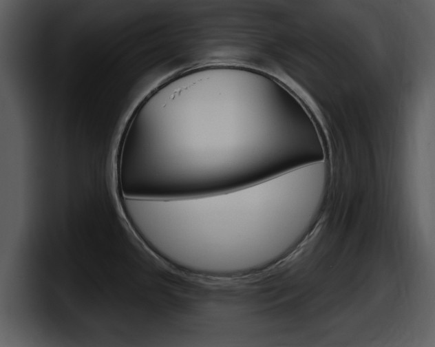 X0000098091341200804040719