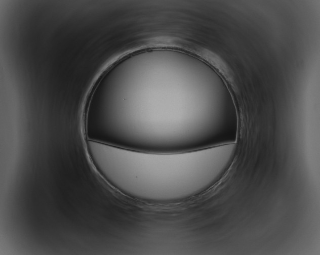 X0000098091342200804040719