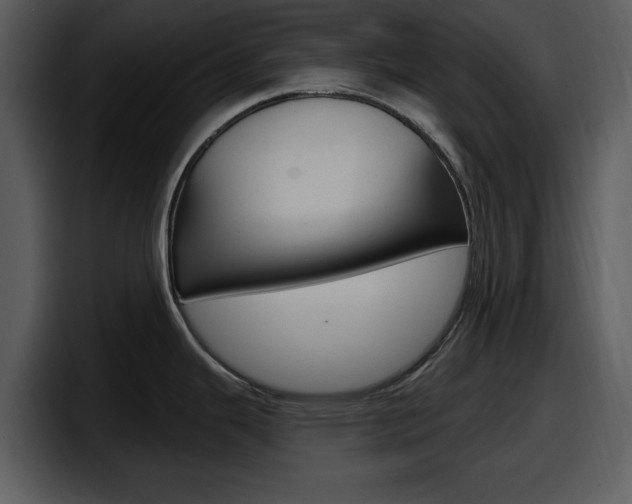 X0000098091343200804040719