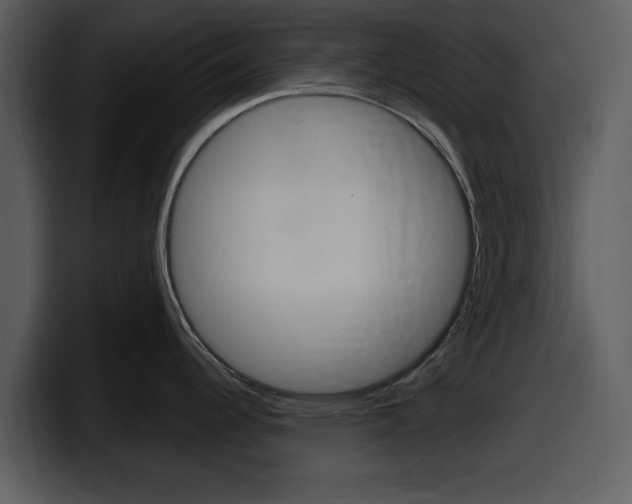 X0000098091344200804040719