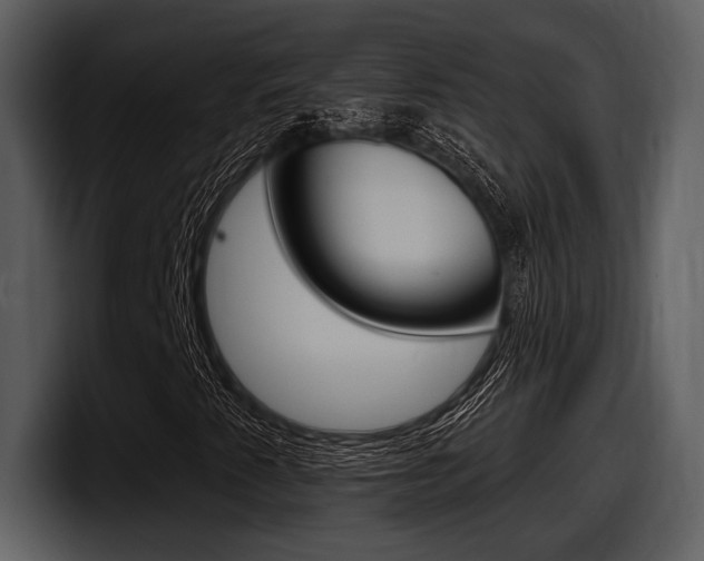 X0000098091345200804040718