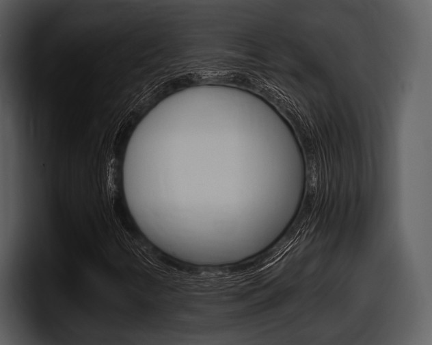 X0000098091346200804040718