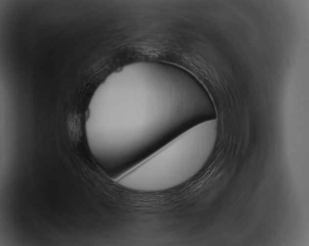 X0000098091347200804040718