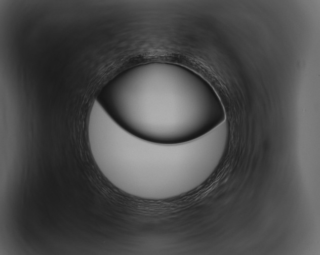 X0000098091348200804040718