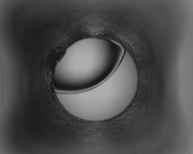 X0000098091349200804040718