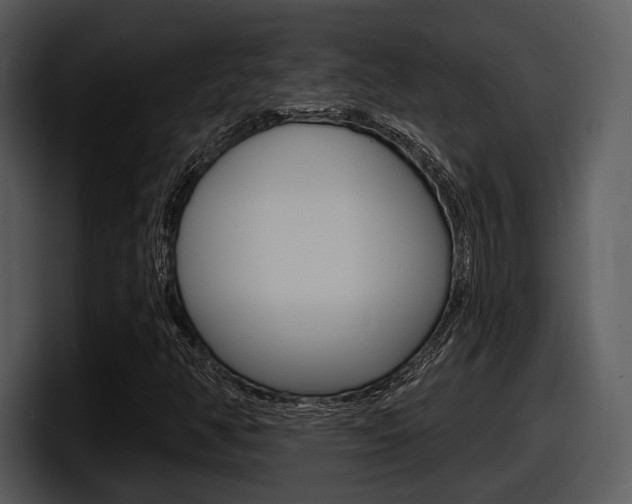 X0000098091350200804040718
