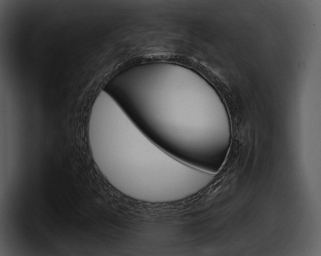 X0000098091351200804040718